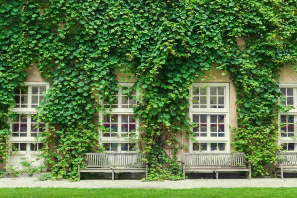 Ivy League education: the perspective of Generation Z